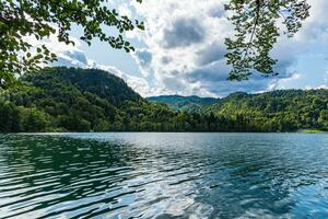 Beautiful forest on the lake Bled under cloudy sky on sunny day photo