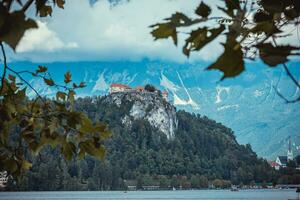 View on the ancient castle from the bushes photo