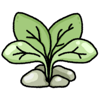Plant leaf doodle cartoon style png