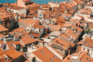 Red rooftops in sunny Piran photo