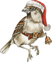 Watercolor bird sparrow in red Christmas hat. png