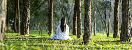 mujer relajantemente practicando meditación en el pino bosque a alcanzar felicidad desde interior paz sabiduría con haz de Dom ligero para sano mente y alma para sano mente y alma foto