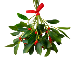 AI generated Mistletoe new year symbol. png