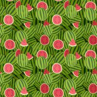 Seamless pattern with watermelons, half and pieces of watermelon. Fruity summer pattern. Vector illustration