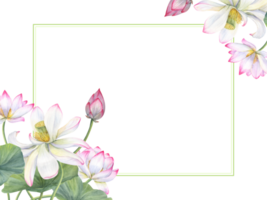 Horizontal frame of sacred lotus. Composition with flowers, buds, leaves. Water lily, pink white lotuses, green leaf. Space for text. Watercolor illustration. For greetings, invitation, postcards png