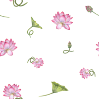 utsmyckad med vit rosa lotus blommor, grön löv. sömlös mönster av blomning vatten lilja. vattenfärg illustration isolerat på vit. hand dragen sammansättning för affisch, textil. png