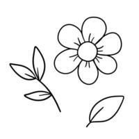 Hand drawn flower daisy and leaves. Vector outline hand drawn sketch. Cute doodle isolated on white