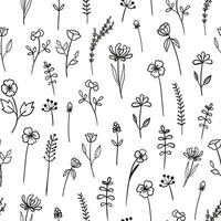 Floral monochrome seamless pattern with line wildflowers. Doodle outline plants on white background vector