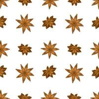 Seamless pattern with vector stars of anise on white background. Spicy seasoning for kitchen.