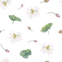 White pink lotus, green leaves. Seamless pattern of blooming water lily. Watercolor illustration of white flowers. Hand drawn composition for poster, textile png