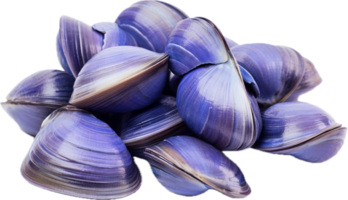 AI generated asari clams png