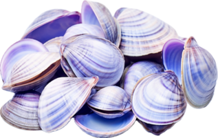 AI generated asari clams png