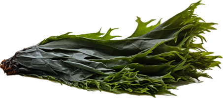 AI generated sheet of dried seaweed png