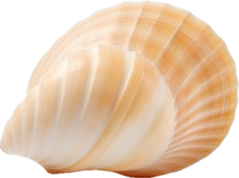 ai generato conchiglia natura png