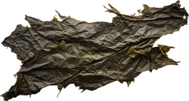 AI generated sheet of dried seaweed png