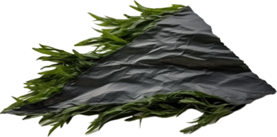 AI generated sheet of dried seaweed png