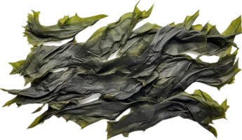 AI generated sheet of dried seaweed png