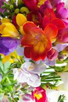 COLORFUL HYACINTH AND DHALIAS photo