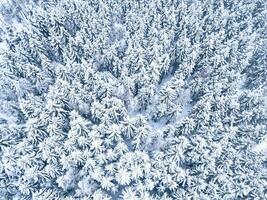 Aerial. Trees and snow in a winter forest. Nature background top view from drone photo