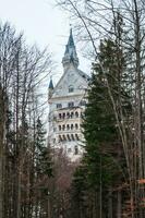 Neuschwanstein castle in winter, view from the forest on the mountain in front of the castle photo