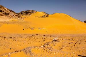paisaje de Sáhara Desierto en Egipto. conceptual para libertad, disfrutando el viaje. foto