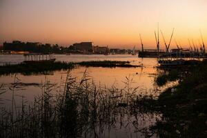 Nile the longest river in Africa. Primary water source of Egypt. Landscape with clear water river. photo