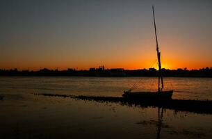 Nile the longest river in Africa. Primary water source of Egypt. Landscape with clear water river. photo