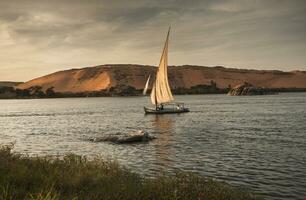 Nile the longest river in Africa. Primary water source of Egypt. Landscape with clear water river. photo