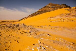 paisaje de Sáhara Desierto en Egipto. conceptual para libertad, disfrutando el viaje. foto