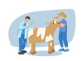 Treatment of pets. Medicine for livestock. Veterinarians conduct a medical examination and treatment of the cow. Veterinary assistance vector