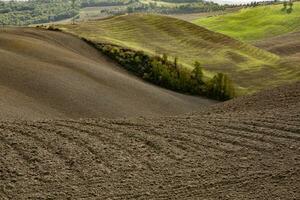 cosechado campos y prados paisaje en toscana, Italia. ondulado país paisaje a otoño puesta de sol. cultivable tierra Listo para el agrícola estación. foto