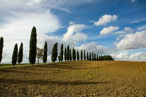 Famous Tuscany landscape with curved road and cypress, Italy, Europe. Rural farm, cypress trees, green field, sunlight and cloud. photo