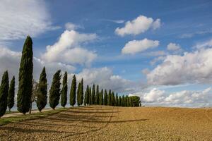 famoso toscana paisaje con curvo la carretera y ciprés, Italia, Europa. rural granja, ciprés árboles, verde campo, luz de sol y nube. foto