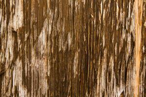 Old wood texture background, surface with old natural colored wood, top view. Grain table surface. photo