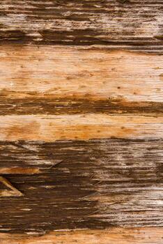 Old wood texture background, surface with old natural colored wood, top view. Grain table surface. photo