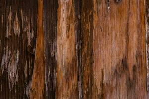 Old wood texture background, surface with old natural colored wood, top view. Grain table surface. photo