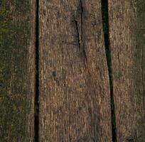 Old wood texture background, surface with old natural colored wood, top view. Grain table surface. photo