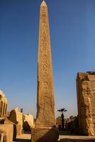 Dendera Temple complex in Egypt. Hieroglypic carvings on wall at the ancient egyptian temple. photo