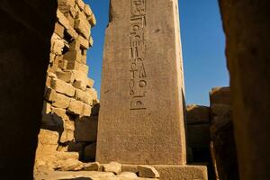 Dendera Temple complex in Egypt. Hieroglypic carvings on wall at the ancient egyptian temple. photo