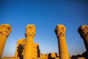 dendera templo complejo en Egipto. jeroglífico tallas en pared a el antiguo egipcio templo. foto