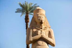 Dendera Temple complex in Egypt. Hieroglypic carvings on wall at the ancient egyptian temple. photo