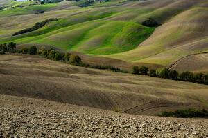 cosechado campos y prados paisaje en toscana, Italia. ondulado país paisaje a otoño puesta de sol. cultivable tierra Listo para el agrícola estación. foto