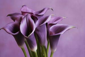 Bouquet of purple calla lilies against purple background.AI Generated photo