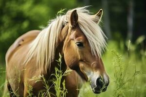 Brown horse with blond hair eats grass on a green meadow detail from the head. AI Generated photo