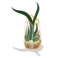 Vector illustration with a glass terrarium of a florarium highlighted in the background. A plant in a geometric flower pot in a flat style. The plant is in a golden glass cage, a container. isolated