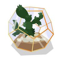 Vector illustration with a glass terrarium of a florarium highlighted in the background. Cactus in a geometric flower pot in a flat style. The plant is in a golden glass cage, a container. isolated