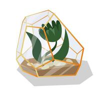 Vector illustration with a glass terrarium of a florarium highlighted in the background. Flowers, buds in a geometric flower pot in a flat style. The plant is in a golden glass cage, a container