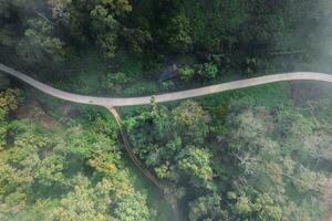 Forest road and morning fog, high angle photo