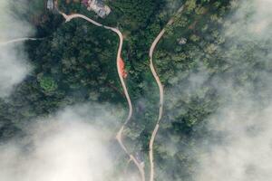 Forest road in the morning from above photo