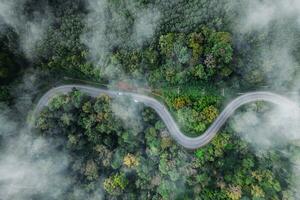 Forest road and morning fog, high angle photo